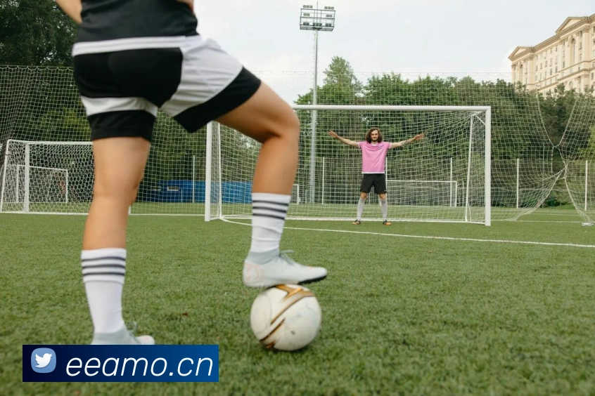 开云平台生态图